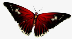 红色复古翅膀蝴蝶素材