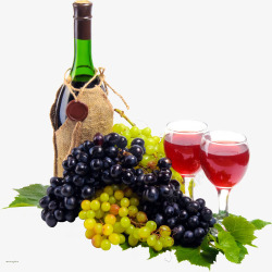 葡萄美酒素材