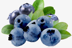 实物新鲜清新蓝莓素材