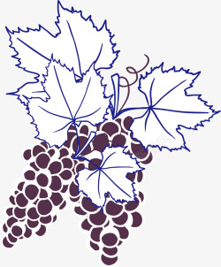 葡萄酒酒标卡通手绘水果元素高清图片