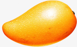 手绘新鲜的金黄色的芒果素材
