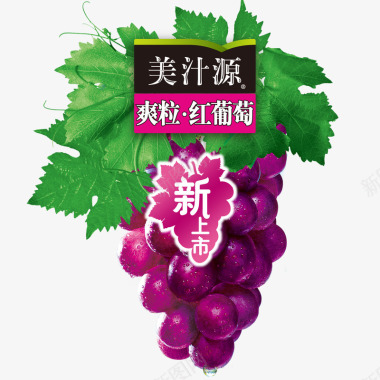 logo美汁源葡萄logo图标图标