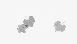 灰色白色葡萄藤葡萄架手绘素材