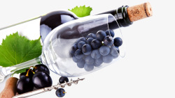 红酒葡萄酒相关用品素材