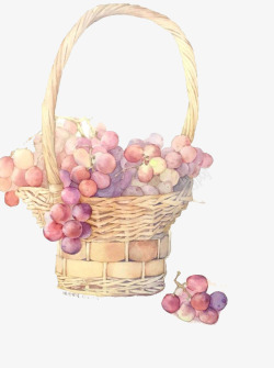 葡萄与果篮素材