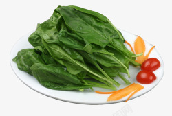 新鲜菠菜素材