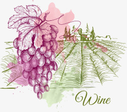 手绘葡萄酒庄园和葡萄下素材