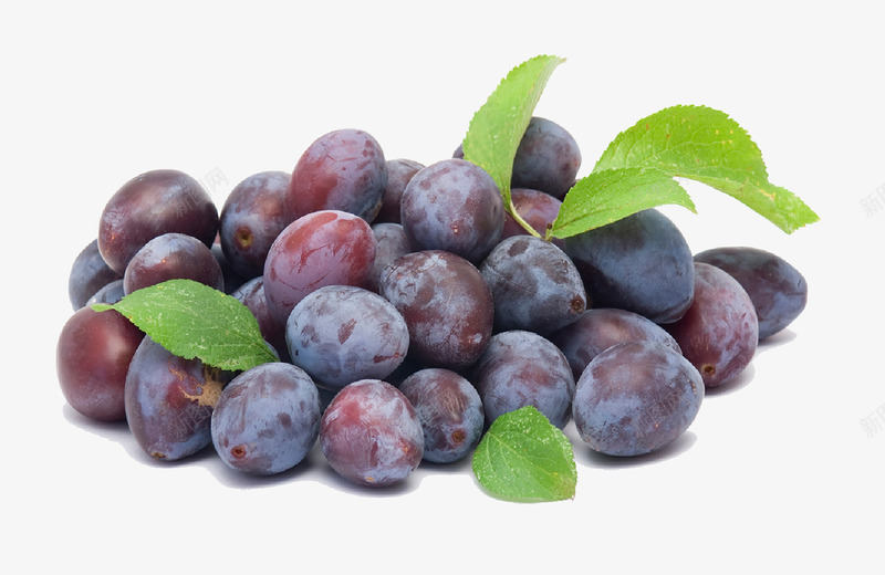 新鲜的紫色葡萄叶子png免抠素材_88icon https://88icon.com 什锦水果 切开的水果 各种水果 新鲜水果 绿色食品 超市水果 高清水果