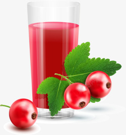 新鲜蔓越莓果汁素材