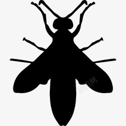 黄蜂黄蜂的剪影图标高清图片