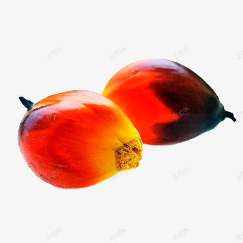 泰国红色棕榈果png免抠素材_88icon https://88icon.com 健康 新鲜 棕榈果 红色 美味 营养