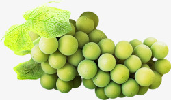 绿色清新绿叶葡萄素材