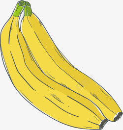 两根手绘香蕉矢量图素材