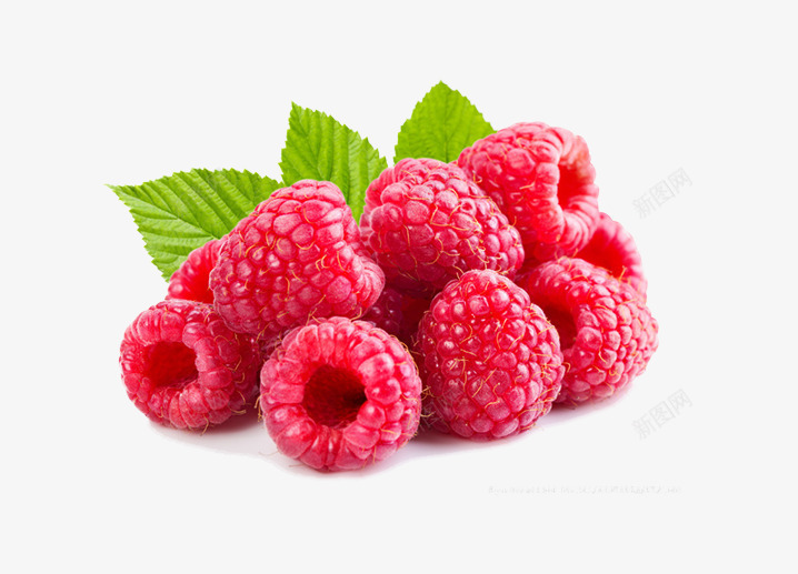 桑葚png免抠素材_88icon https://88icon.com 新鲜的水果图片 桑葚叶子 红色的葚字 颜色鲜艳的桑葚