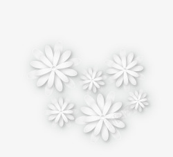 白色小雏菊花朵装饰素材
