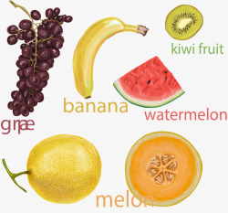 五种新鲜水果素材