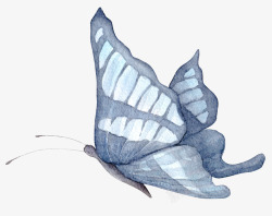 蓝灰色蝴蝶手绘蓝灰色蝴蝶高清图片