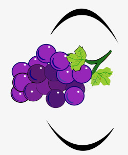 手绘黑加仑紫色手绘葡萄高清图片