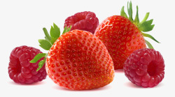 新鲜草莓蔓越莓素材