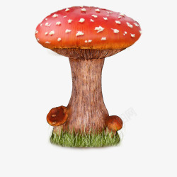 小花蘑菇素材