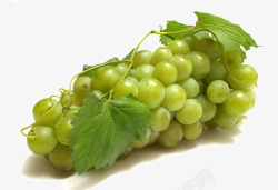 新鲜绿葡萄素材