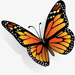 翅膀蝴蝶橙色翅膀图标图标