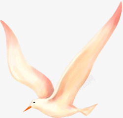 创意手绘风格飞翔的海鸥翅膀素材