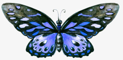 卡通手绘美丽的蝴蝶素材