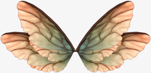 卡通手绘梦幻蝴蝶翅膀png免抠素材_88icon https://88icon.com 卡通蝴蝶 梦幻 梦幻卡通 翅膀 蝴蝶
