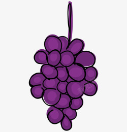 手绘紫色葡萄素材