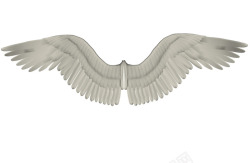 白色翅膀图案素材