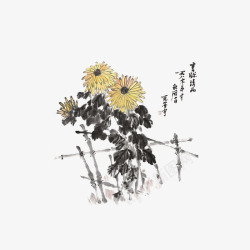 菊花传统水墨素材