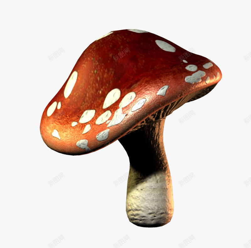 小蘑菇png免抠素材_88icon https://88icon.com 漂亮蘑菇 花纹蘑菇 蘑菇