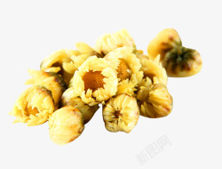 杭白菊花苞素材