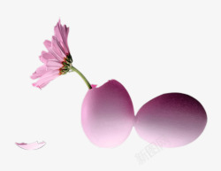 粉色菊花蛋壳素材