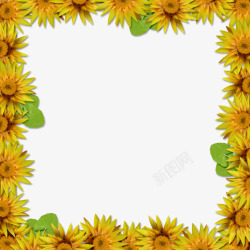 黄色菊花相框素材