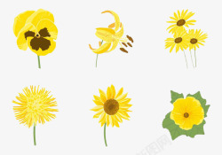 菊花月季花朵黄色素材