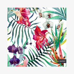 合集矢量图素材