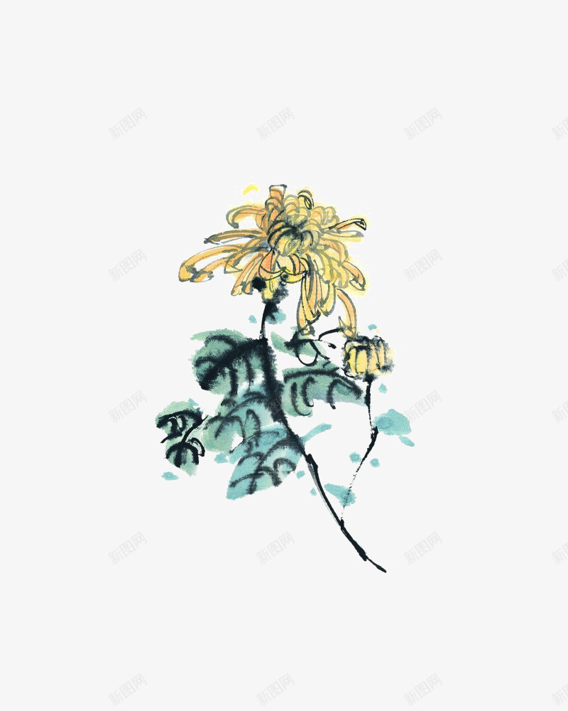 手绘小黄菊png免抠素材_88icon https://88icon.com png图形 png装饰 手绘 植物 菊花 装饰