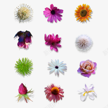 植物各种花和植物图标图标