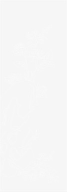 复古繁复菊花花纹png免抠素材_88icon https://88icon.com 复古 繁复 菊花花纹