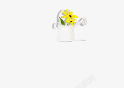 浇水壶黄色小菊花文艺庭院装素材