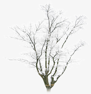 合成摄影效果冬天的树木造型png免抠素材_88icon https://88icon.com 冬天 合成 摄影 效果 树木 造型