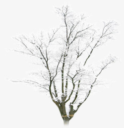 合成摄影效果冬天的树木造型素材