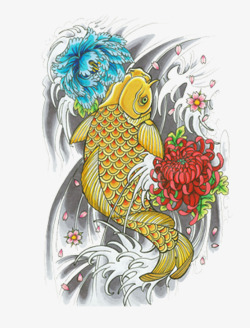 金鲤鱼手绘菊花和金鲤鱼高清图片