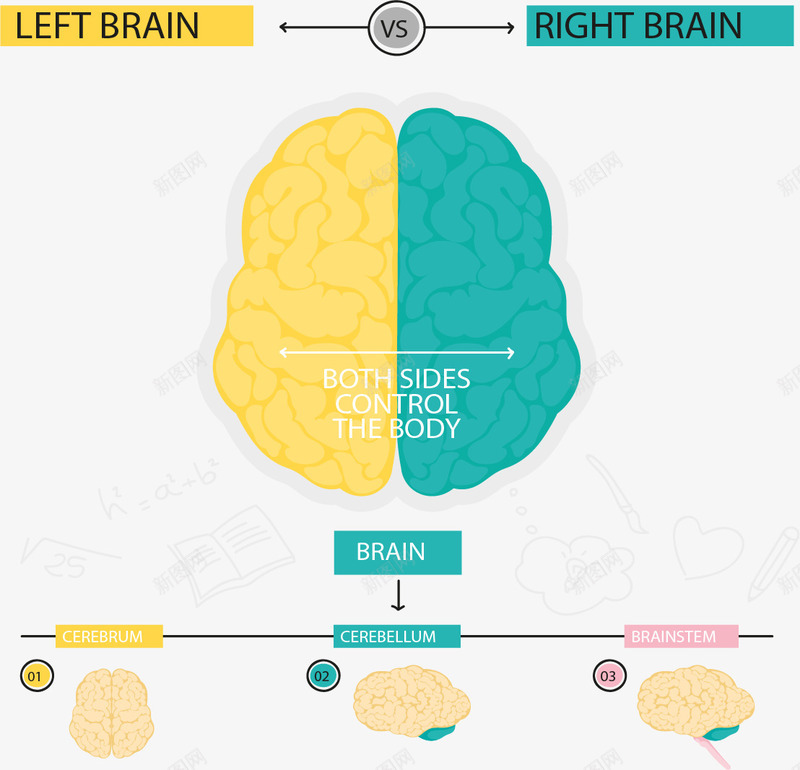 左右脑分类信息图表矢量图eps免抠素材_88icon https://88icon.com 人类大脑 信息图表 分类 大脑 对比 左右脑 矢量素材 矢量图