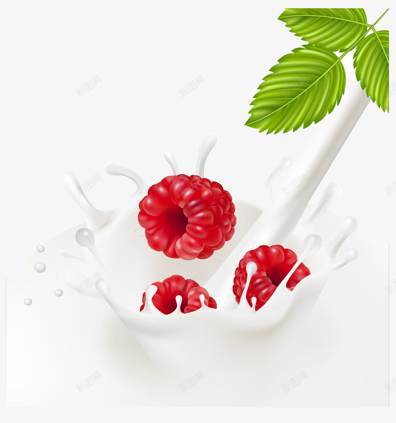 掉进牛奶里的红莓png免抠素材_88icon https://88icon.com 产品实物 叶子 果实 果肉 树莓 水果 牛奶 红莓