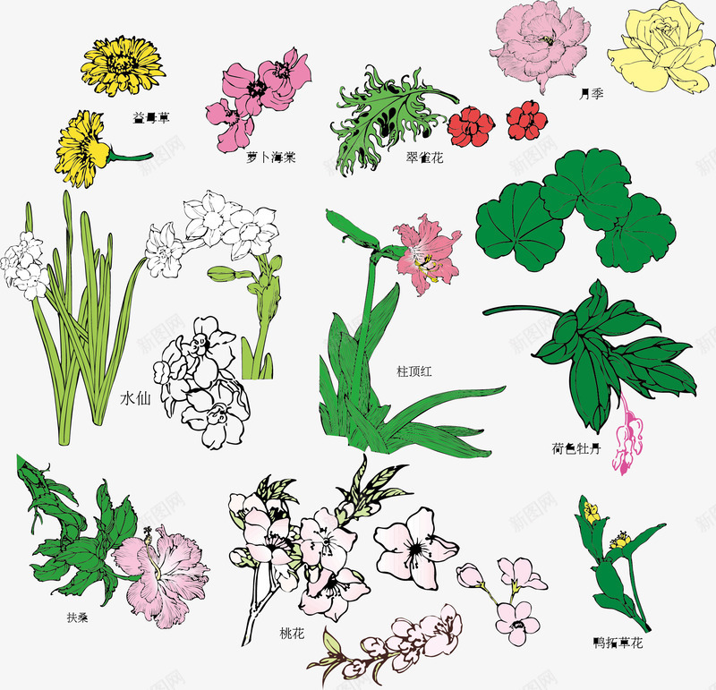 花花草草矢量图ai免抠素材_88icon https://88icon.com 树叶 玫瑰花 矢量元素 花草 菊花 矢量图