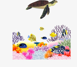 海龟海底生物风景素材