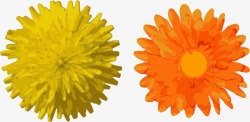 两朵菊花素材